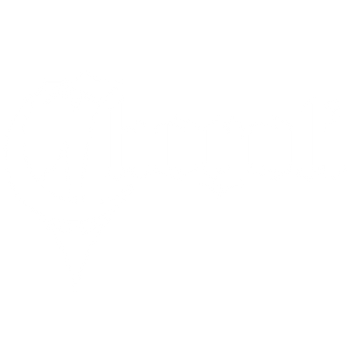 CHOYOLI BRAND logo